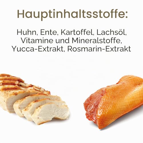 Applaws Katzentrockenfutter Adult, Huhn mit Ente, getreidefrei und komplett 400g (1 Packung) (Packung mit 2) – Ansicht 4