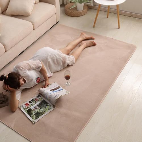 Tapis de salon molleton de corail insonorisé et tapis de maison gris