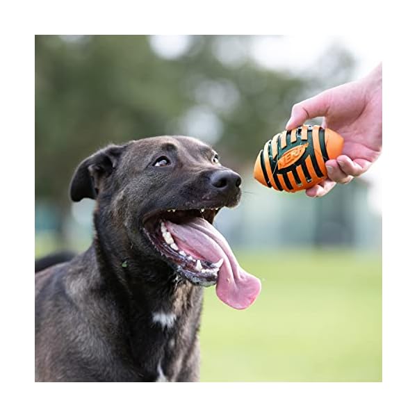 Nerf Dog Spiral Squeak Rubber Football Dog Toy, Medium/Large, Orange Nerf Dog Spiral Squeak Rubber Football Dog Toy, Medium/Large, Orange
