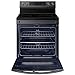 Samsung NE63A6751SG 6.3 Cu. Ft. Black Stainless Steel Smart Freestanding Electric Range