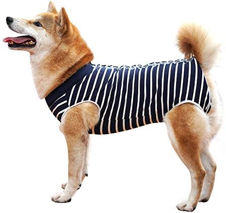 HEYWEAN Hundebody Nach Op Kastration Wundschutzanzüge für Hunde, Professioneller Pet Recovery Suit Hund Medical Shirt, Body Suit nach der Operation Hund Haustier Chirurgenanzug für
