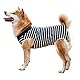 HEYWEAN Hundebody Nach Op Kastration Wundschutzanzüge für Hunde, Professioneller Pet Recovery Suit Hund Medical Shirt, Body Suit nach der Operation Hund Haustier Chirurgenanzug für Hunde