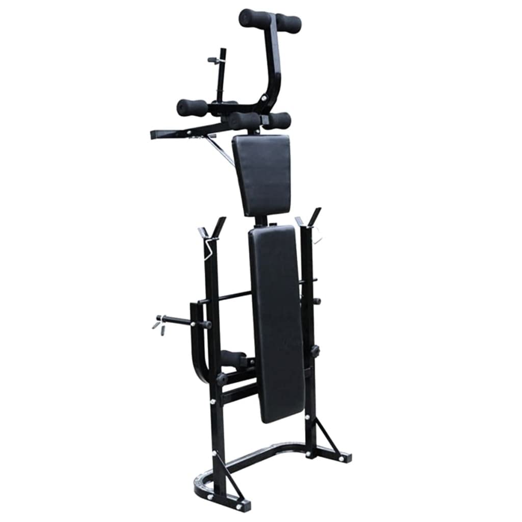 vidaXL Banco Soporte Barras Mancuernas 60,5 kg Musculación Pesas Multimodelo