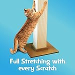 SmartCat Pioneer Pet Ultimate Scratching Post (Beige) - Image 3