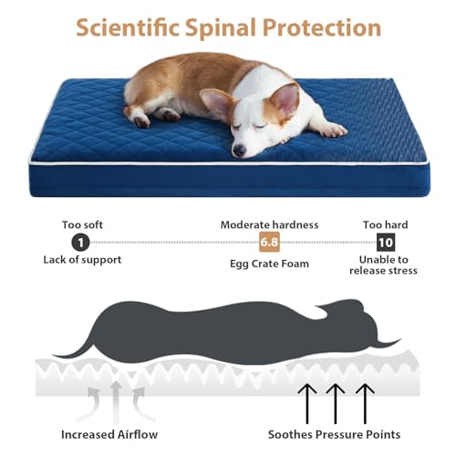 Image of WNPETHOME Orthopedic Memory Foam Dog Bed - Extra Large Waterproof With Removable Washable Cover & Anti-Slip Bottom, Egg Crate Foam Mat, Multi-Needle Quilting XXXL