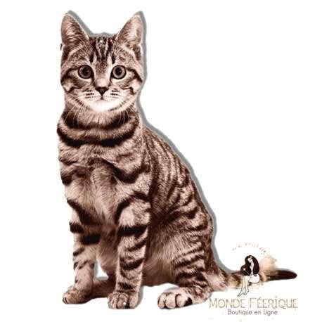 Plaque Métal Chat Déco Murale Vintage Monde Féérique 37 cm