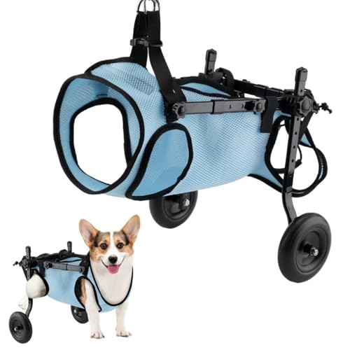 Silla de ruedas para mascotas plegable de dos ruedas (patas traseras) para perros y gatos, tamaño M (10-20 kg)