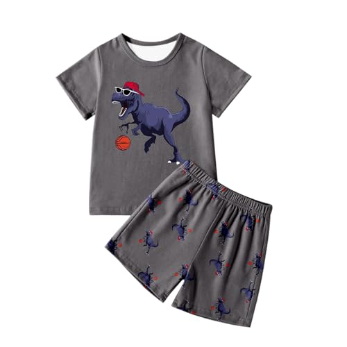 Boys Dinosaur Graphic Tee and Shorts Matching Set for Casual Play and Athletic Activities