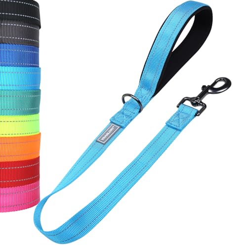 VIVAGLORY Short Dog Leash Closelyt Traffic Leash for Dog, 24in, Blue