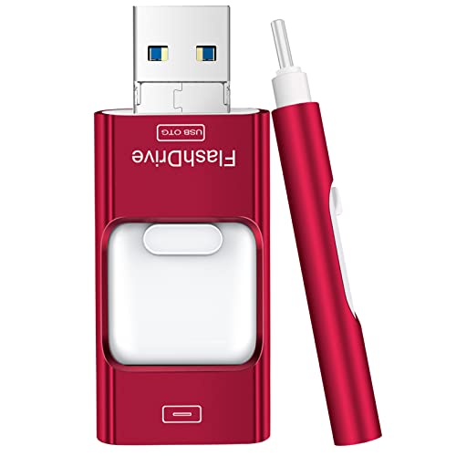 Flash Drive for iPhone 256GB, 4 in 1 USB Type C Memory Stick, Photo Stick External Storage Thumb Drive for iPhone iPad Android Computer, Candy Red