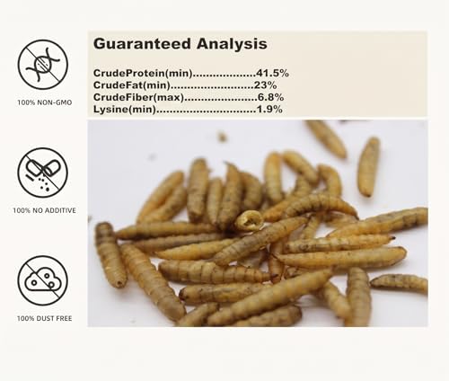Qinyurj Dried Black Soldier Fly Larvae, 85X More Calcium Than Mealworms High Protein Chicken Feed & Treats, Non-GMO for Chicken Ducks Birds - 1