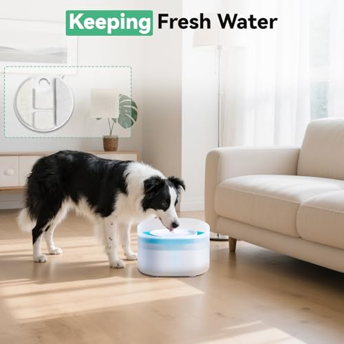 Image of 40 Packs for Petlibro Dog Fountain Filters Replacement, Compatible with PETLIBRO 2.1Gal /8L Capsule Dog Fountain Water Dispensers PLWF008 (20 Replacement Water Filter + 20 Pre-Filter Sponges)