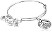Alex and Ani Team USA Swimming Expandable Rafaelian Silver Bangle Bracelet