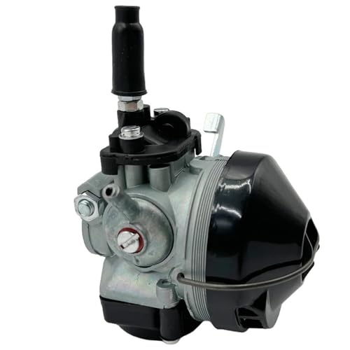 Carburateur 19mm pour Peugeot 102 et 103 motorisation 50cc à 100cc