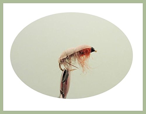 6 Pack of Brown Czech Nymph Trout of Grayling Fishing Flies, Choice of Sizes (12)