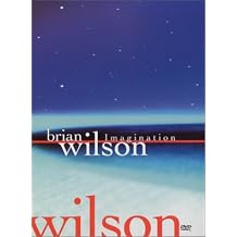 Brian Wilson - Imagination