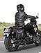 KEMIMOTO Motorcycle Saddlebags, 30L Large Capacity Saddle Bags Motorcycles, PU Leather Motorcycle Luggage Bag for Sportster Softail Dyna V-star Shadow, Universal Motorcycle Accessories, Black