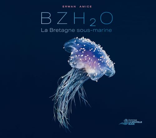Bzh2o: La Bretagne sous-marine