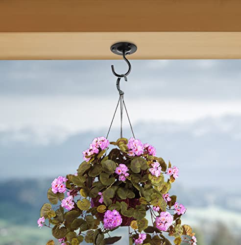 Monarch Abode Wall Mounted Ceiling Plant Hooks, 2.7" Premium Metal Decorative Hanging Brackets For Indoor & Outdoor Use, Set Of 4, Black #TOP1