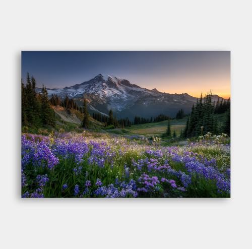 Mount Rainier Canvas Print - Sunrise with Wildflowers, Ultra-Realistic National