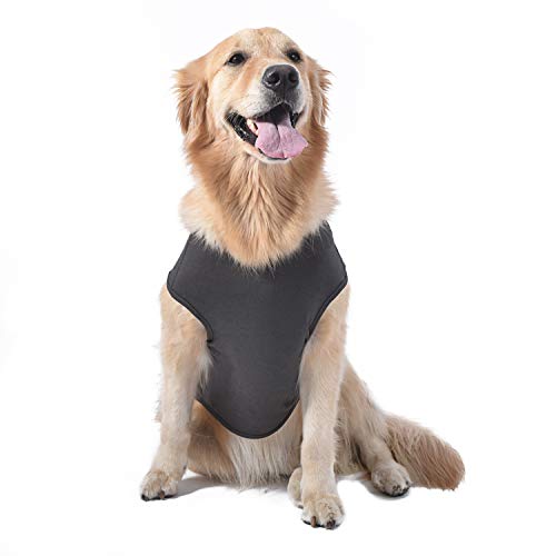 Star Wars for Pets Darth Vader Dog Tank – Dog Shirt for Large Dogs – Size Large – Darth Vader Shirt for Pets – Soft, Cute, and Comfortable Dog Clothing and Apparel, Cute Dog Clothes Star Wars for Pets Darth Vader Dog Tank – Dog Shirt for Large Dogs – Size Large – Darth Vader Shirt for Pets – Soft, Cute, and Comfortable Dog Clothing and Apparel, Cute Dog Clothes
