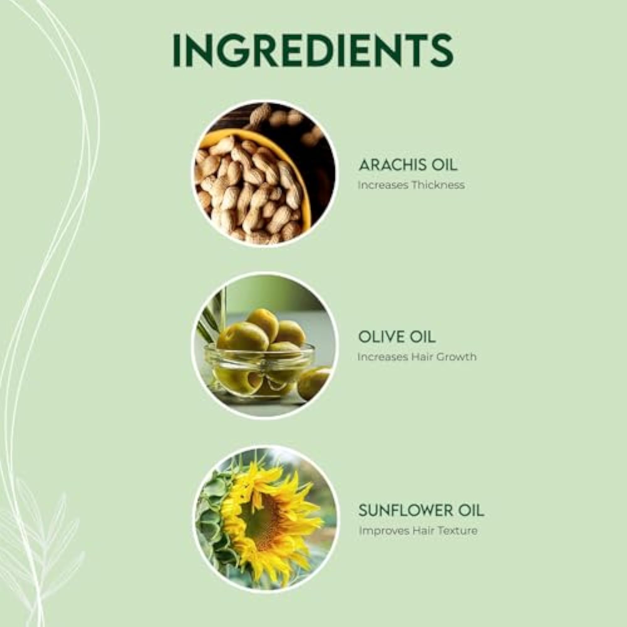 Herbal Bringraj & Olive Bio-Advanced Hair Oil for Dry Hair