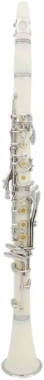 White Clarinet 17 Key Flat B ABS Silver Key Instrument(1)