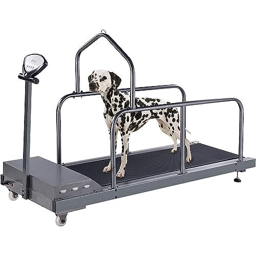 Tapis roulant per cani, velocità regolabile, per cani di taglia grande, media e piccola, supporta fino a 99,8 kg, rafforza i muscoli delle gambe