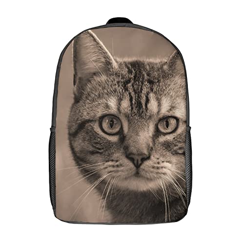 Sac d'école chat soulage le dos grand volume pour ranger les cahiers 17"