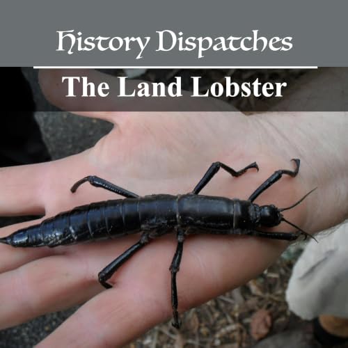 The Land Lobster: The world's rarest insect