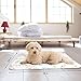 EAGMAK Cute Dog Cat Fleece Blankets with Paw Prints for Kitten Puppy and Small Animals Pack of 6 (Black, Brown, Blue, Grey, red and White)