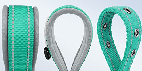 Dynmeow Dog Collar,Double Layer Reflective Thick Nylon Built,Neoprene Padded,Soft And Breathable,11 Colors And 4 Sizes For Small Medium Large And Extra-Large Breeds Dogs (Teal Medium Pack Of 1) #TOP3