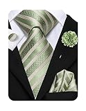 Hi-Tie Silk Men's Light Green Stripe Tie Handkerchief Set And Flower Lapel Pin Formal Necktie Cuffli