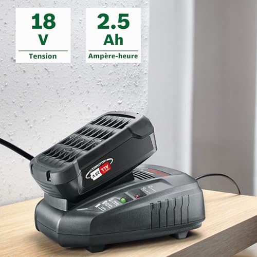 Bosch Home and Garden Starter Set 18V 2 5 Ah Akku 18 Volt System Chargeur 1600A00K1P - vue 5