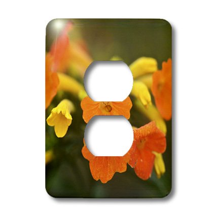 Fleurs colorées plaque double prise pour masquer les fixations électriques ternes - 3
