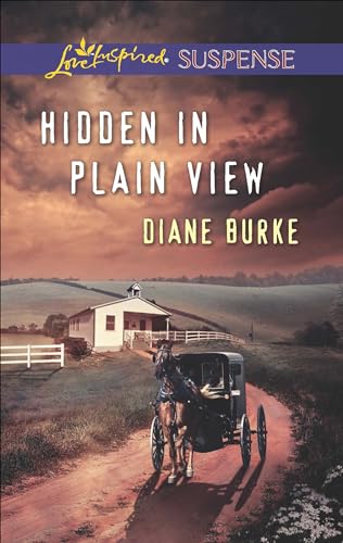 Hidden in Plain View (Love Inspired Suspense)