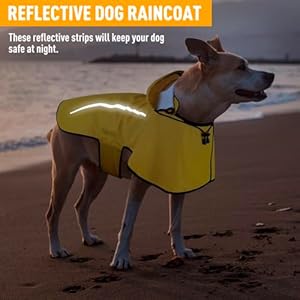 Dog raincoat waterproof raincoat with removable hoodie dog rain coats windproof snowproof dog rain jacket with reflective strip for medium dogs   cucciolini doodles