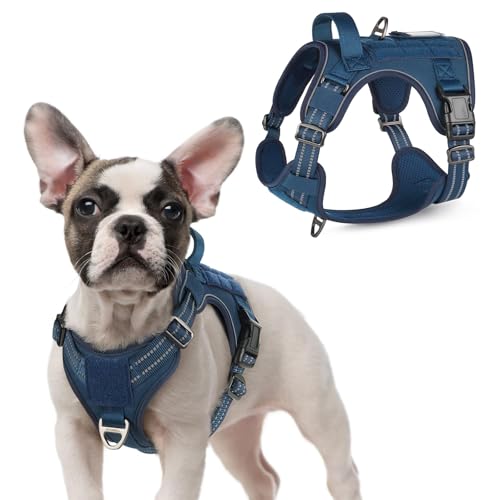 rabbitgoo Dog Harness, Adjustable Reflective Tactical Dog Harness with Handle and Rings, Solid Vest Easy to Put On, Military Dog Harness for Hunting Training, Blue, S