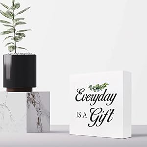 Z CRANGE Inspirational Wooden Box Sign Everyday is A Gift Wood Block Sign Appreciation Gift for Coworker Home Office Shelf Table Decor Decorations