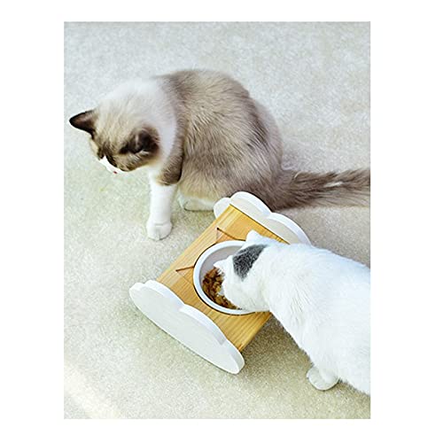 RTHGTFGW Comedero Perro Tazón doméstico for Mascotas con Estante de Madera Maciza, Boca Oblicua de Alto Precio for Proteger la Columna Cervical, Adecuada for Gatos y Perros (Size : Medium)