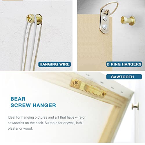 Bear Claw Hanger Screws Hanger Gold - 30Lb&75Lb Picture Hooks - 4-In-1 Hanging Screws For D-Rings, Sawtooth, Wire And Keyholes - Mounts In Drywall And Wood Studs (30&75Lbs-25Pcs) #TOP3