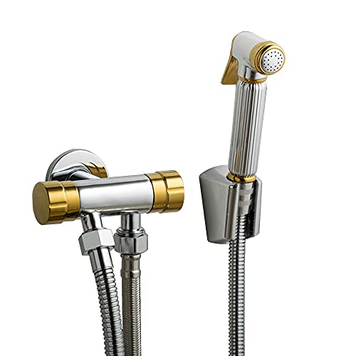 Kit pulvérisateur de bidet à main pour toilettes contre l'irritation du papier WC