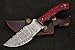 Multi Color Handle Wooden Handmade Damascus Steel Hunting Knife, Hand Forged Camping Knife, Gift For Him TTR-07