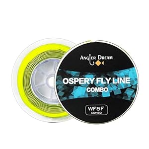 Angler Dream 8 WT Fliegenschnur Combo