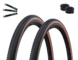 2 x Schwalbe G-One Comp Fahrradreifen Active K-Guard Green Compound E-25 Schwarz/Bronze 40-622 (28 x 1.50) + 2 x Schwalbe Schläuche AV17 inkl. maxxi4you Reifenheber
