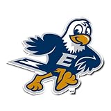 Desert Cactus Emory Eagles Sticker Car Decal (IND 00233)