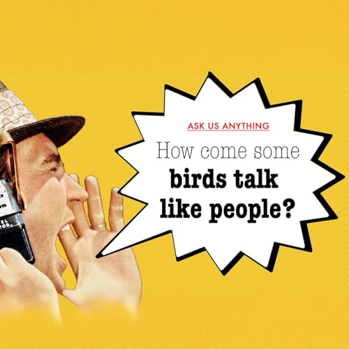 How come some birds talk like people?
