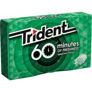 Trident Spearmint Sugarfree Chewing Gum 20 gr. - [Pack 16]