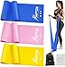 HPYGN Resistance Bands Set, Exercise Bands for Physical Therapy, Strength Training, Yoga, Pilates, Stretching, Non-Latex Elastic Band With Different Strengths,Workout Bands with Door Anchor
