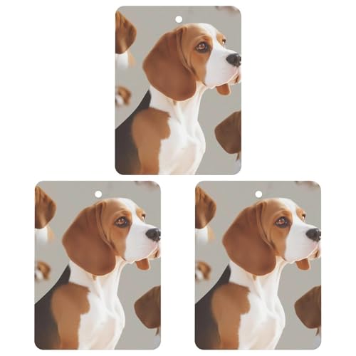 ԗpFܒ݂艺`bv3_pbN Ԃ̍tnMOV[g    CeA r[Op